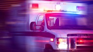 Rescatan a octogenario que cayó por un barranco en Utuado