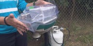 Mosquitoes continue to thrive as rainfall persists in Tx Panhandle