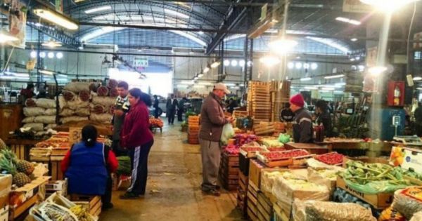[ATENCIÓN] Cuánto cuesta el kilo de paltas en el Mercado Cofruthos