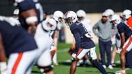 Breaking down the skillsets of Auburn football’s two transfer wide receivers