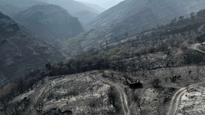 Galicia encara una jornada con tres incendios activos y casi 92.000 hectáreas calcinadas