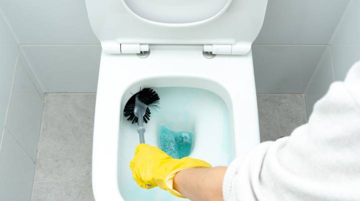 Aldi's Store Brand Vs Clorox Toilet Bowl Cleaner, What's The Difference?