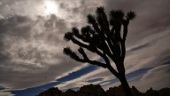 Thunderstorms come to Coachella Valley amid extreme heat warning