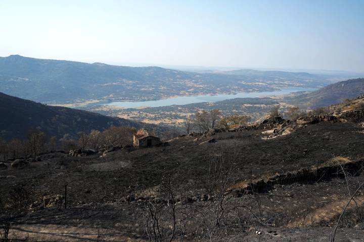 Última hora de los incendios en España, en directo | Permanecen activos 13 incendios graves, pero solo uno con evolución desfavorable