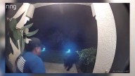 Man recovering after being attacked by bear outside his Florida home