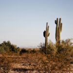 Phoenix matches daily heat record set in 2019