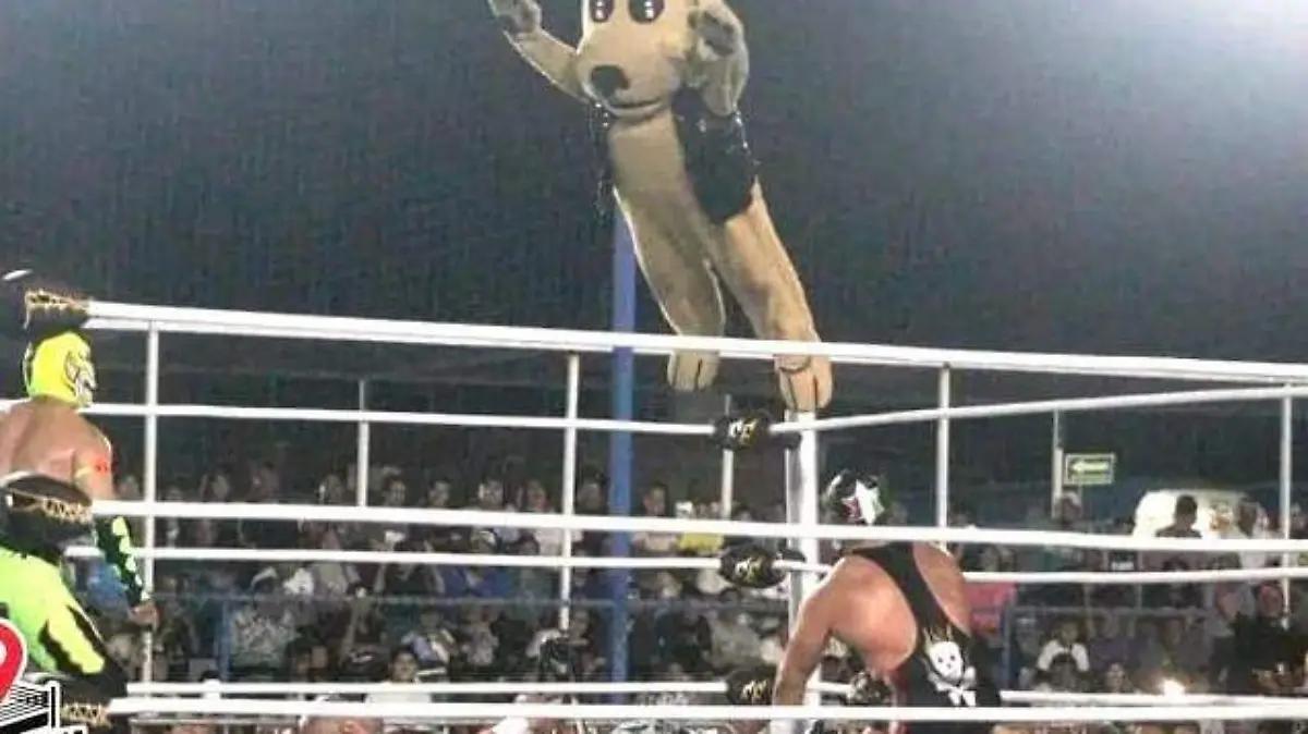 LPI Salamanca e Indy Wrestling anuncian explosiva colaboración, llega Wisin El Dog
