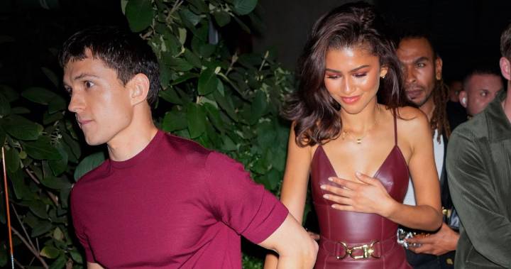 Zendaya Paid Tom Holland A Visit On The Spider