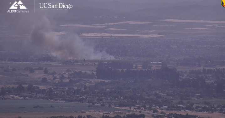 Vegetation fire breaks out in Santa Maria riverbed
