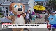 Jake's Diggity Dogs in Milford raising money for dogs National Dog Day