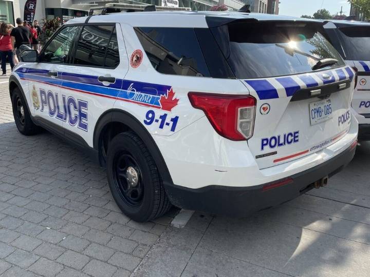 Large police presence at Landowne Park after gunshots reported