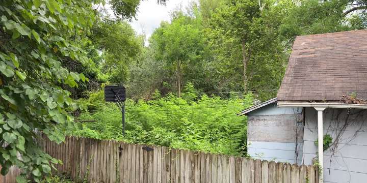 On Your Side: What to do about your neighbor’s overgrown yard