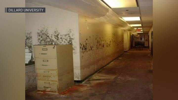 NBC 5's Evan Anderson shares his Katrina reflection, 20 years after the storm