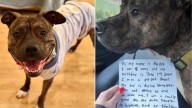 Georgia Woman Helps Dog Left Alone With Heartbreaking Note
