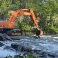 VIDEO | Migrating fish returning to the Brandywine, with dam partial removal underway
