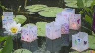 Japanese culture celebrated at Como Park in St. Paul