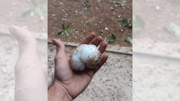 Las tormentas vuelven a golpear a Aragón con granizo del tamaño de un puño a pocos días de la vendimia