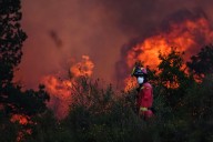 Más de 1100 muertos e incendios devastadores. España sufrió este año su peor ola de calor “desde que existen registros”