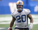 'Let this thing roll': Bombers' Oliveira enters Labour Day on a high