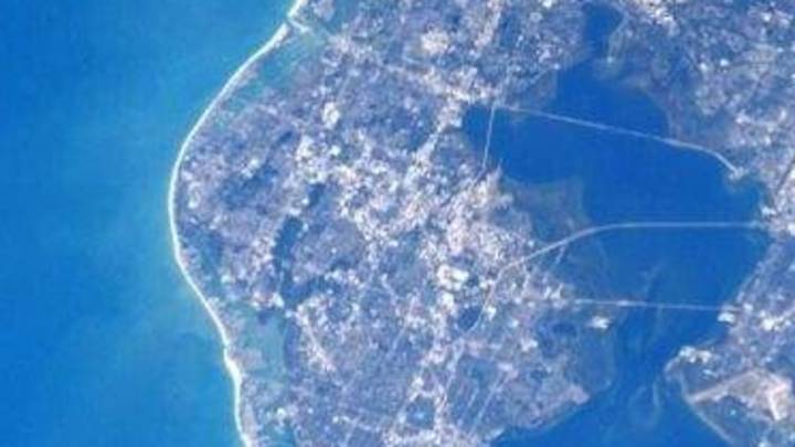 How Florida can help safeguard immigrant-owned and other small businesses
