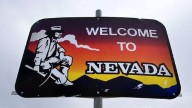 What is the world’s deadliest animal? Nevadans, here’s how to stay safe