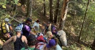 Mass. woman seriously injured in fall while hiking in White Mountains