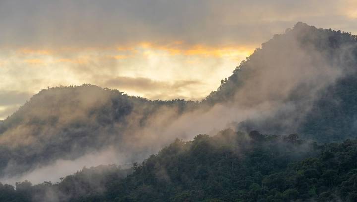 "Lost City Of The Amazon" Wasn’t Destroyed By A Volcano After All