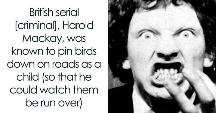 124 Random Creepy Facts And Pics To Deprive Somebody Of Sleep