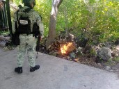 SSP y Defensa destruyen campamento ilícito en Tierra Caliente