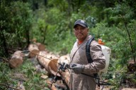 Protege Gobierno del EdoMéx el Cerro de Xocotépetl en Jocotitlán con acciones de prevención y control de plagas