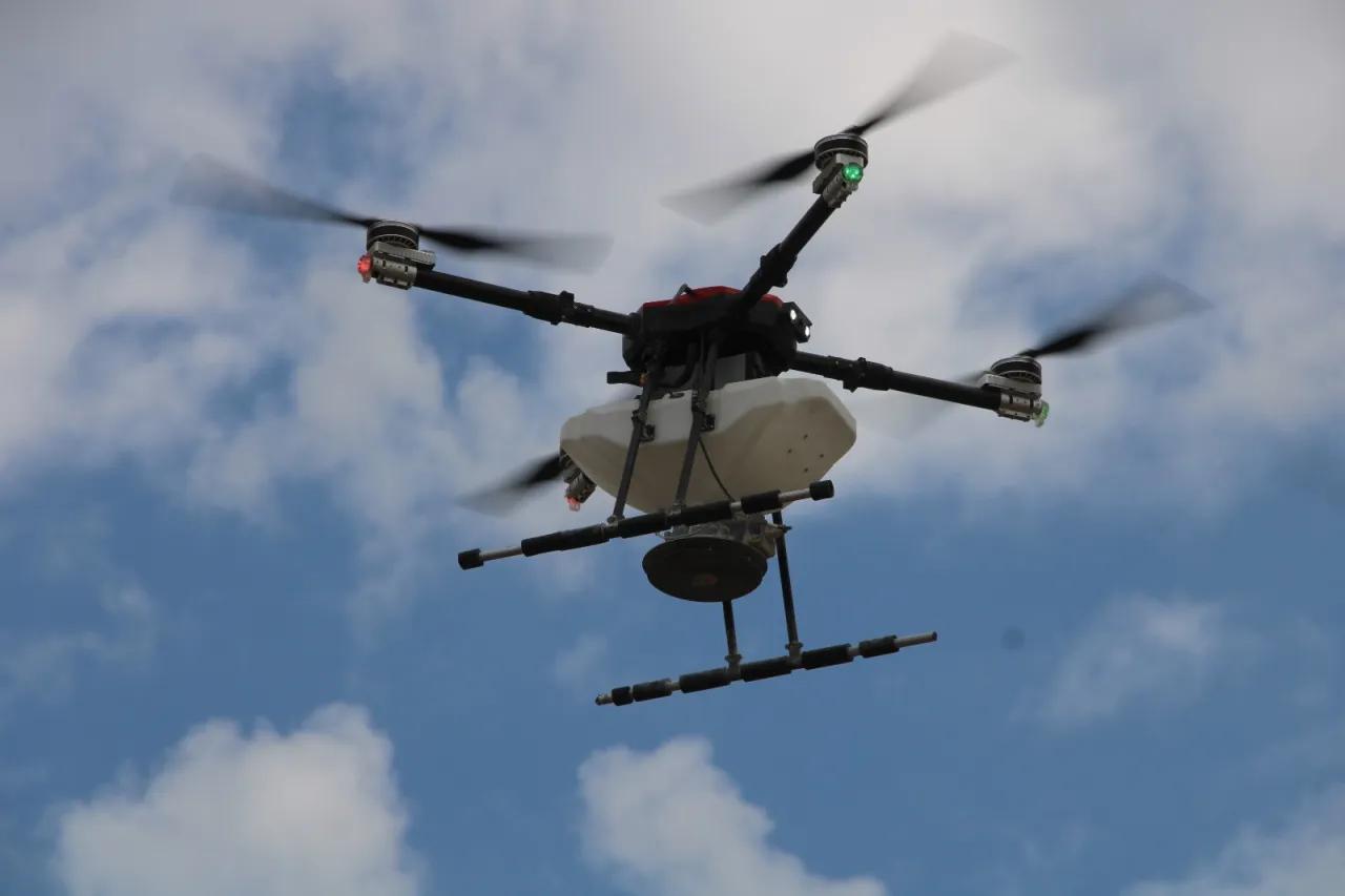 Drones dispersan semillas en la Sierra Tarahumara para su reforestación