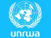 Casi 360 trabajadores de agencia de ONU murieron en ataques israelíes