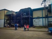 Un niño de 7 años pierde la vida tras caer de una mata en Tucupita