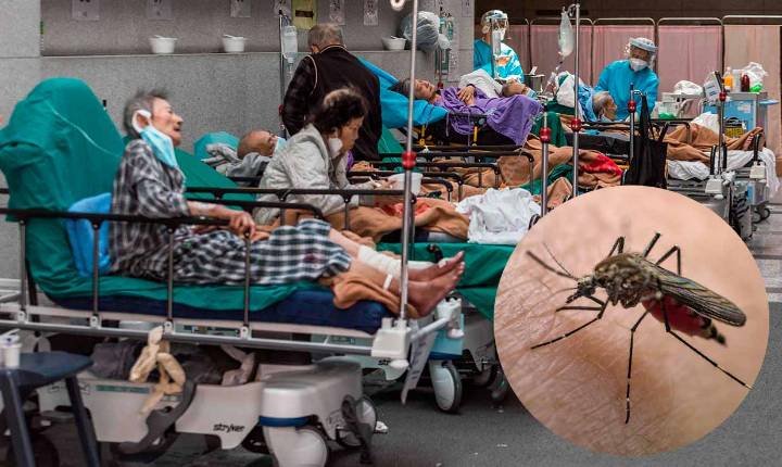 Brote de chikungunya asola a China, ya hay más de 7 mil contagiados