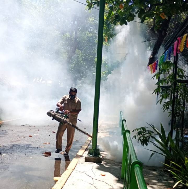 Brigadas van tras el mosquito