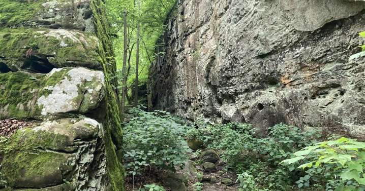 Take on Giant City's rugged Red Cedar Trail and stone fort history walk