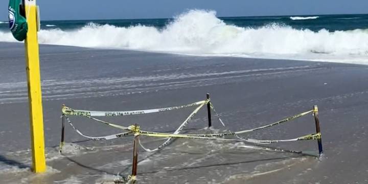 High tide from Hurricane Erin impacts sea turtles
