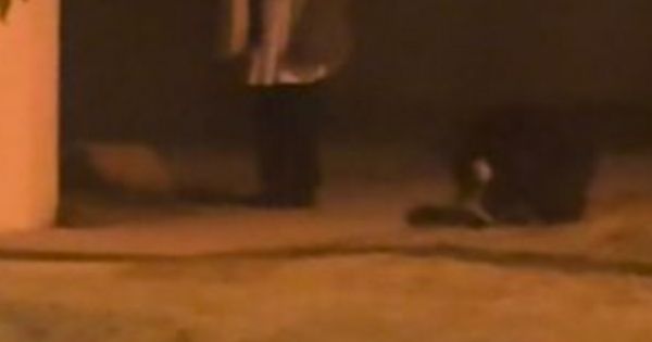 Salteña despertó a todo el barrio a los gritos en plena madrugada: "¡Ayuda!"