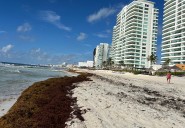 Cancún estrenará plataforma monitoreará el estado de las playas
