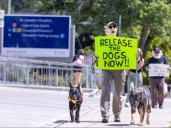 Protesters gather at St. Joseph's hospital with clear question: Where are the dogs?