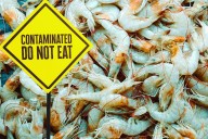 FDA Warns About Contaminated Shrimp Sold in Kentucky Walmarts