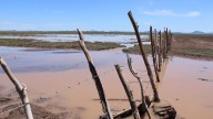 Se mantienen afectaciones por sequía en 63 municipios de Sonora