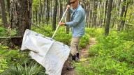 Ticks are migrating, but scant surveillance may leave doctors in the dark on patient treatment
