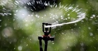 Budget, water restrictions and Delano consumption area on docket for Wichita city council