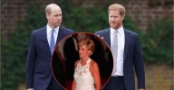 Prince William 'Not' Joining Forces With Harry For Diana's Anniversary