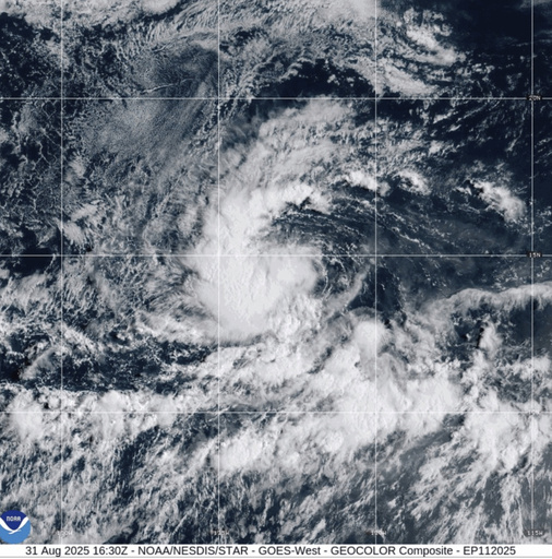 Tormenta tropical Kiko se forma en el Pacífico oriental; sin amenaza inmediata para tierra