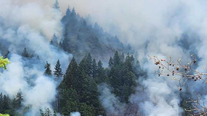 Wash. lawmakers react to investigation, arrest of FFs in the country illegally during wildfire