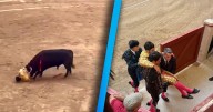 Espeluznante cornada envía al hospital a Morante de la Puebla en plena corrida en Pontevedra: Pronóstico grave