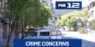 Businesses in Goose Hollow concerned about future as crime, drug issues linger