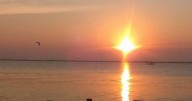 More heat and humidity and t-showers on the way